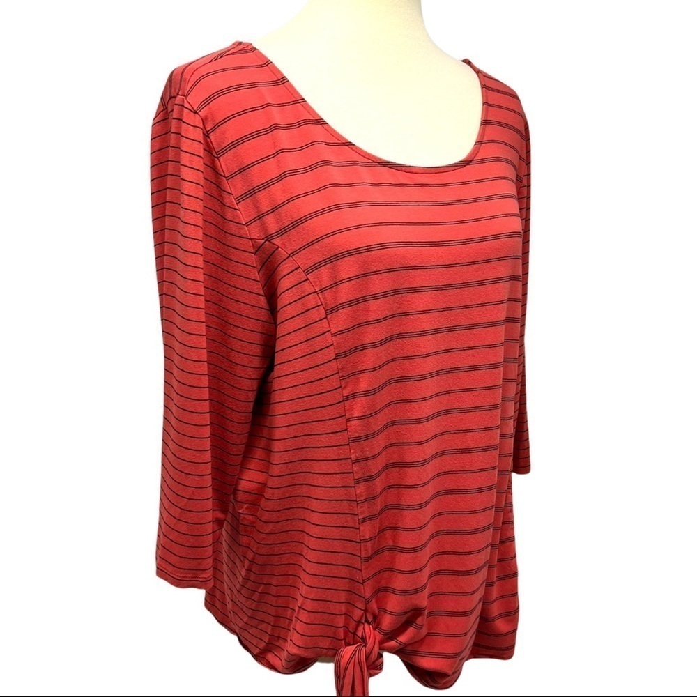 Habitat Terra Cotta Striped Stretchy Knit Tie Front Top - Picture 3 of 9